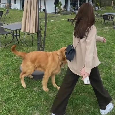 危机边缘第四季
